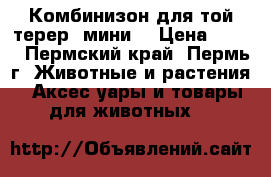 Комбинизон для той-терер  мини. › Цена ­ 500 - Пермский край, Пермь г. Животные и растения » Аксесcуары и товары для животных   